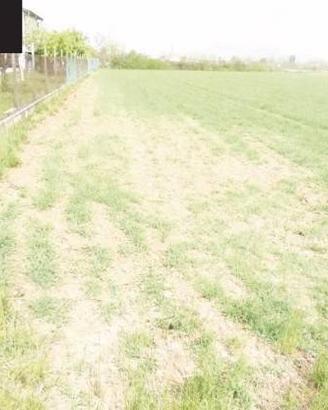Immobile in asta di 25107 m² a Paese