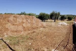Terreno Residenziale Sant'Omero [Cod. rif A142VRG]