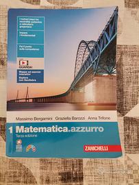 Libro scolastico "Matematica.azzurro 1"