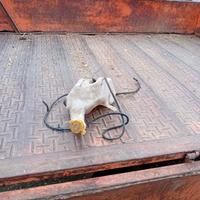 Fanali anteriori e posteriori