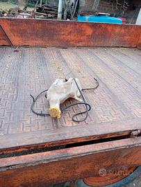 Fanali anteriori e posteriori