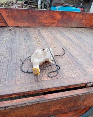 Fanali anteriori e posteriori