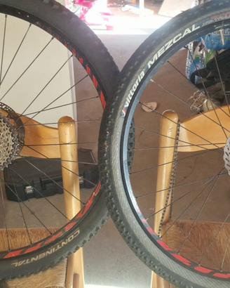 Ruote bici