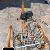 bicicletta a tre ruote 