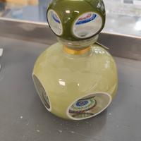bottiglia sul verde 