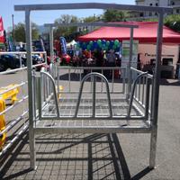 Mangiatoia porta roroli