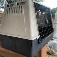 Trasportino cane auto