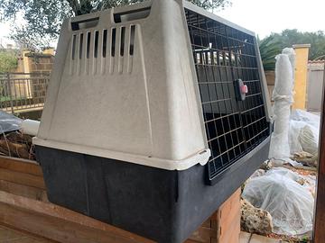 Trasportino cane auto