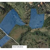 Terreno con fabbricato da ristrutturare