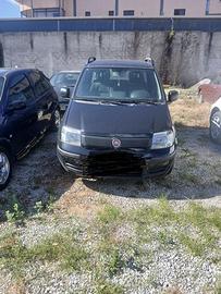 Panda nera