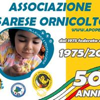 Iscrizione alla foi