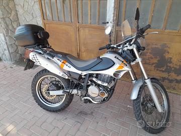 Beta Alp 4.0