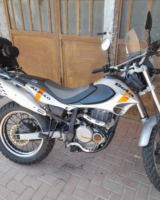 Beta Alp 4.0