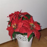 Stella di natale artificiale