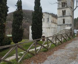 Cerco casa in affitto ovunque in provincia di Pd