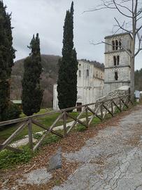 Cerco casa in affitto ovunque in provincia di Pd