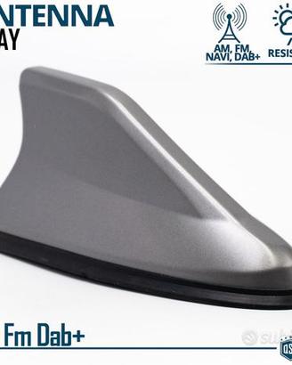 Antenna PINNA SQUALO Grigia con Gomma VERA Ricezio