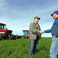 Tratttore da privato per esportazione