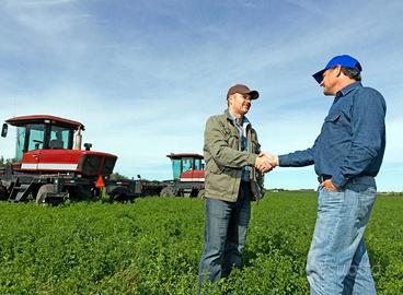 Tratttore da privato per esportazione