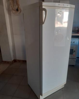 congelatore verticale 80 euro