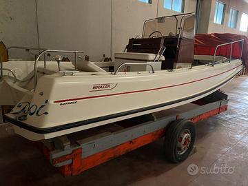 Boston whaler