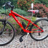 Mountain bike  ragazzo