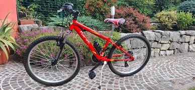 Mountain bike  ragazzo
