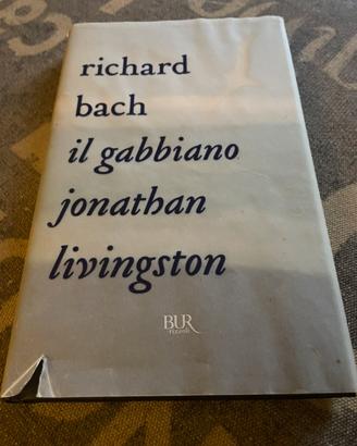 Il gabbiano Jonathan