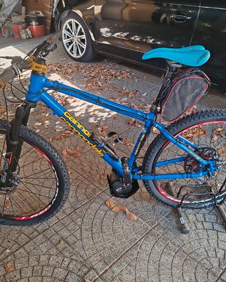 ebike 