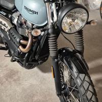 Triumph street scrambler 900