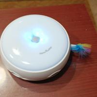 Gioco automatico per gatti