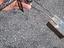 Immagine 6
