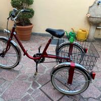 Bicicletta tre ruote / Triciclo adulti