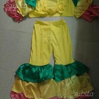 Vestito e accessori di carnevale