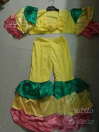 Vestito e accessori di carnevale