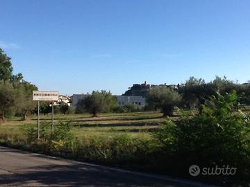 Terreno edificabile solo per pochi giorni