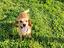 Immagine 1