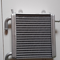 Radiatore Aerox 50