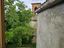 Immagine 8