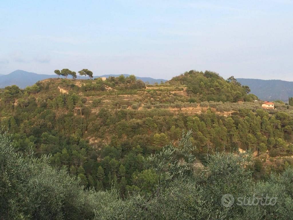 Terreno di 15111 m² a Camporosso - Vista 5