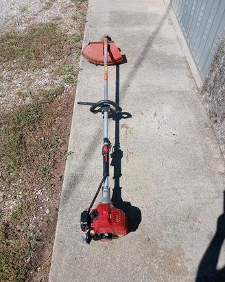 decespugliatore 