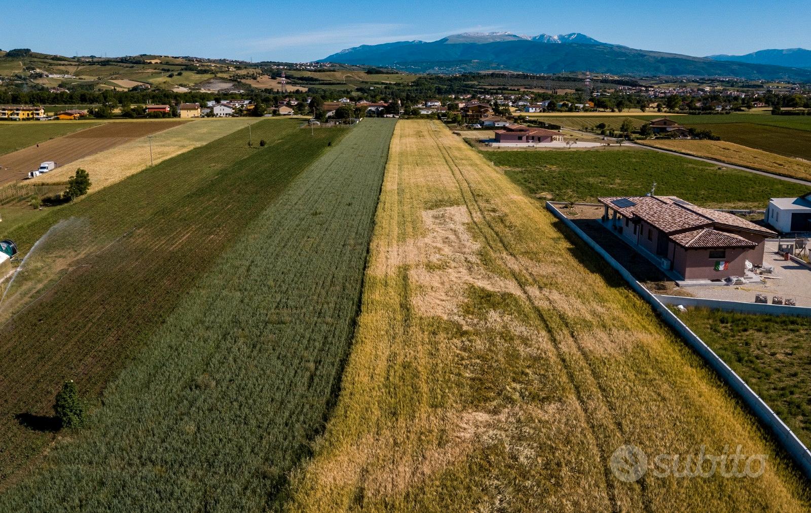 Terreno edificabile Villareia di Cepagatti - Vista 4