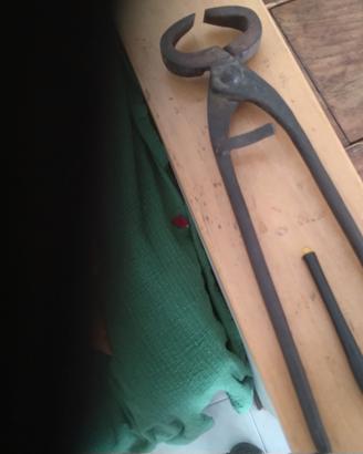 Pinza maniscalco Bilancia analitica cardini lucche