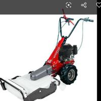 Tagliasiepe trincia  motocariola generatore