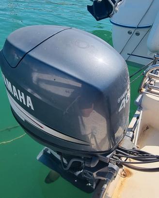 motore Yamaha 40/60