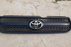 Mascherina Toyota Rav4 II