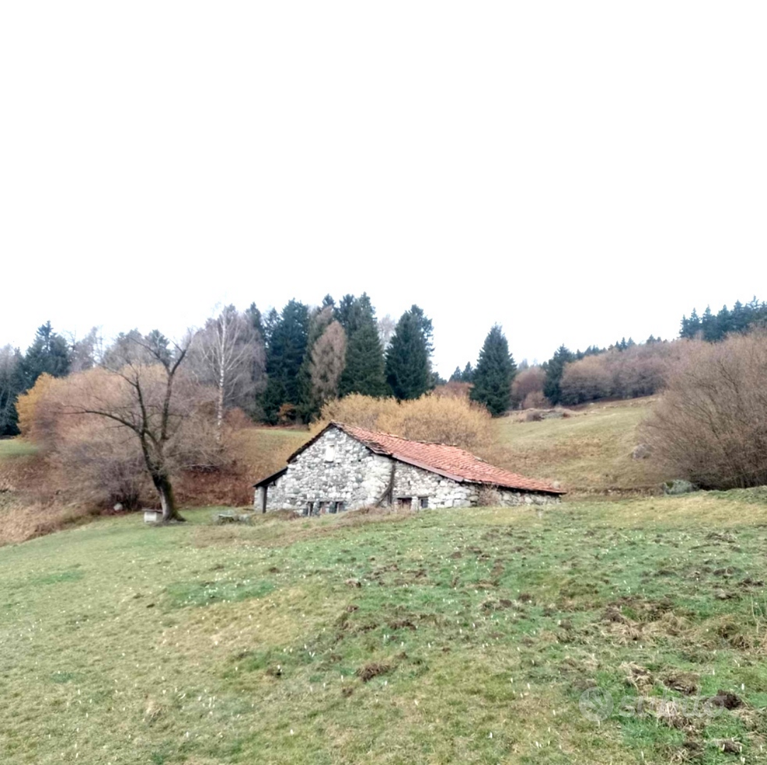 Cascina e terreni - Vista 5
