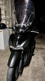 Honda sh 125 sport 2024