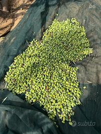 Profumi della terra di Sicilia