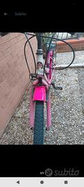 Bici trubbiani 24"